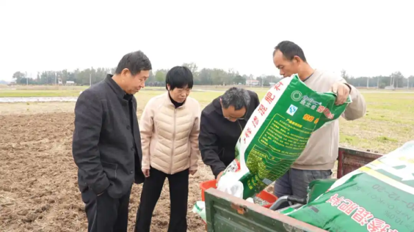 乐牛配资 晚播不减产！看山东如何打赢秋播秋种保卫战